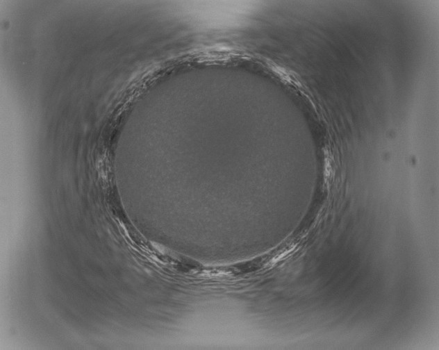 X0000054371445200508011208