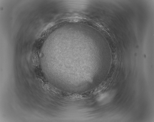 X0000054371446200508011208