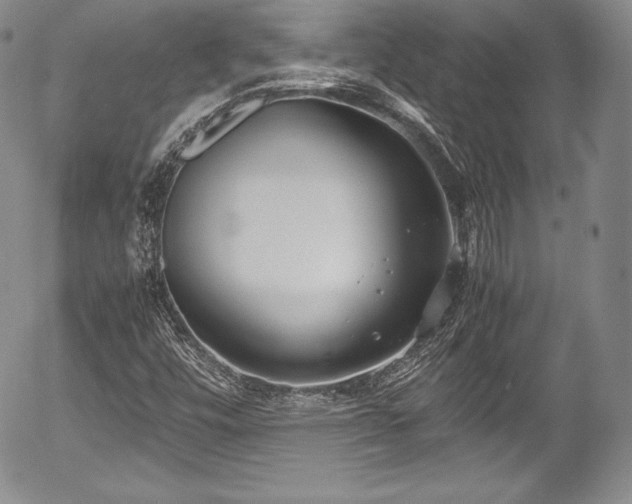 X0000054371448200508011208