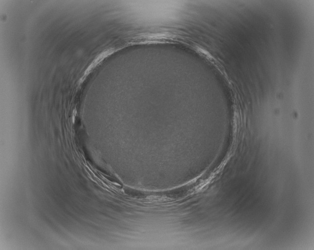 X0000054371449200508011208