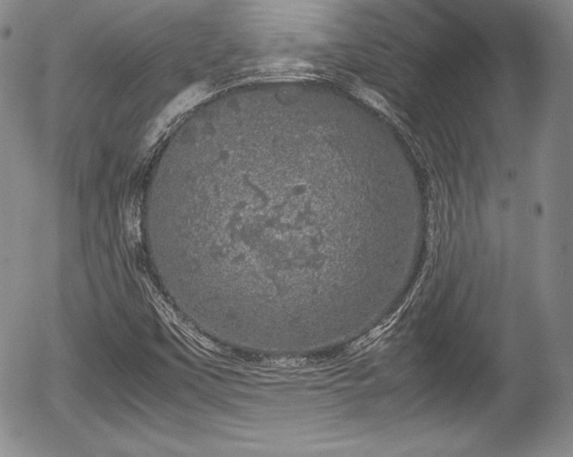 X0000054371451200508011208