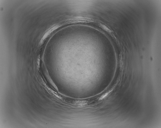 X0000054371453200508011208