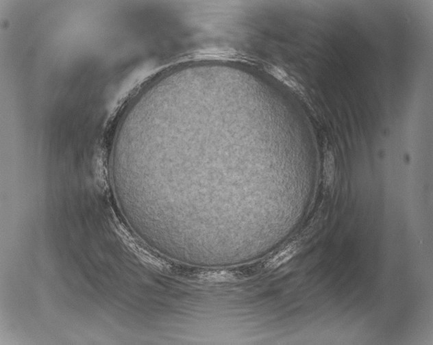 X0000054371454200508011208