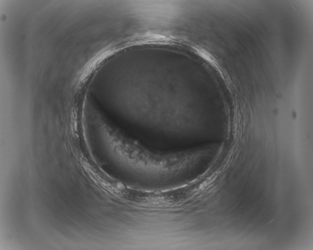 X0000054371455200508011208