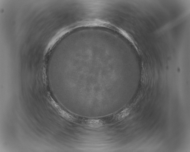 X0000054371456200508011208