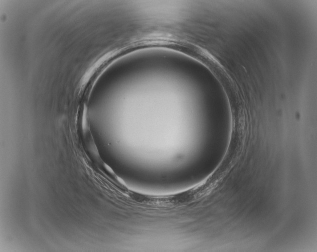 X0000054371461200508011208