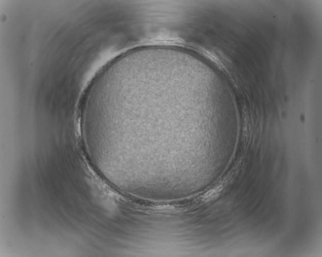 X0000054371462200508011208