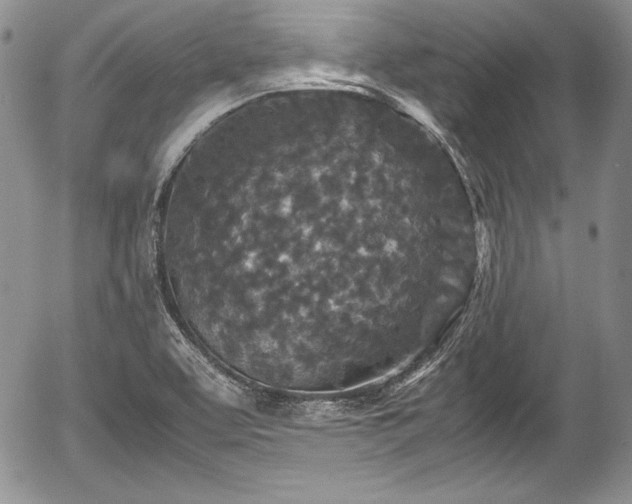 X0000054371463200508011208