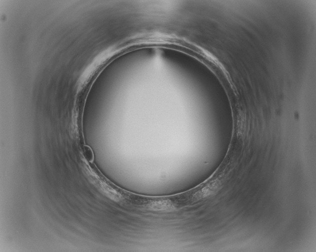 X0000054371464200508011208