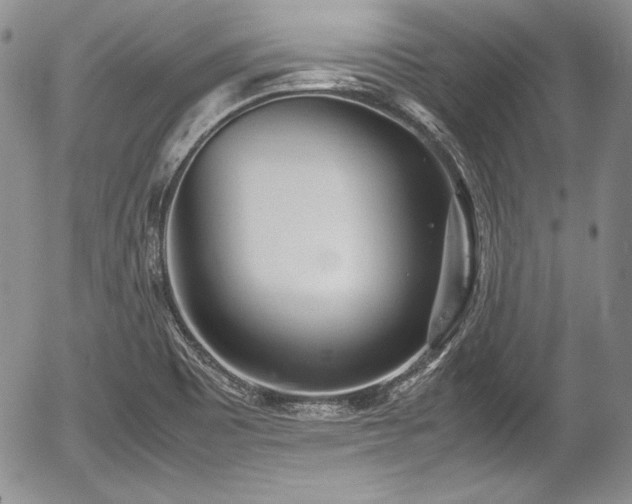 X0000054371465200508011208