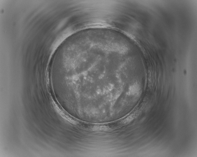 X0000054371466200508011208