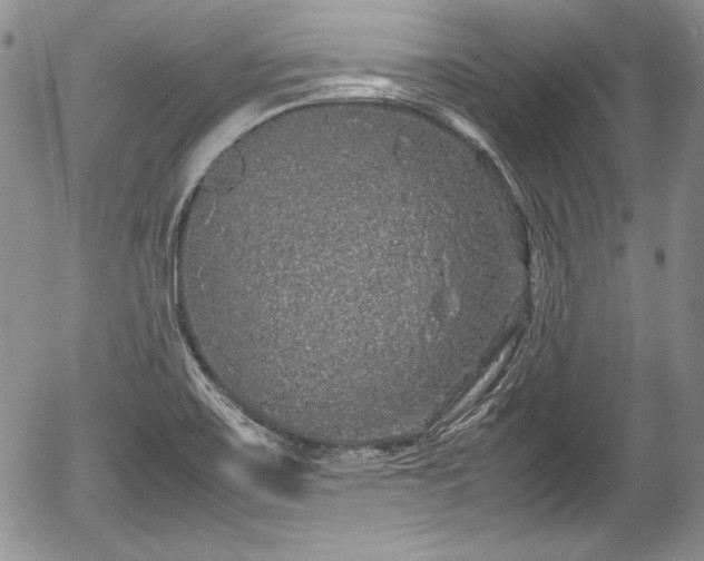 X0000054371467200508011207