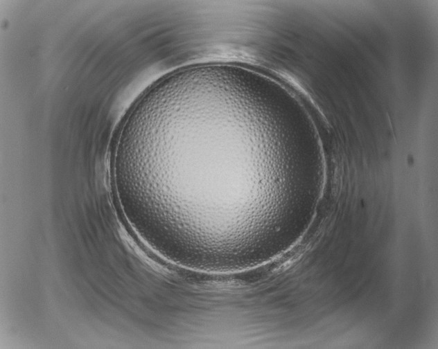 X0000054371468200508011207