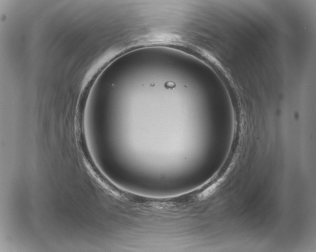 X0000054371469200508011207