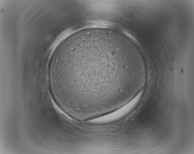 X0000054371471200508011207