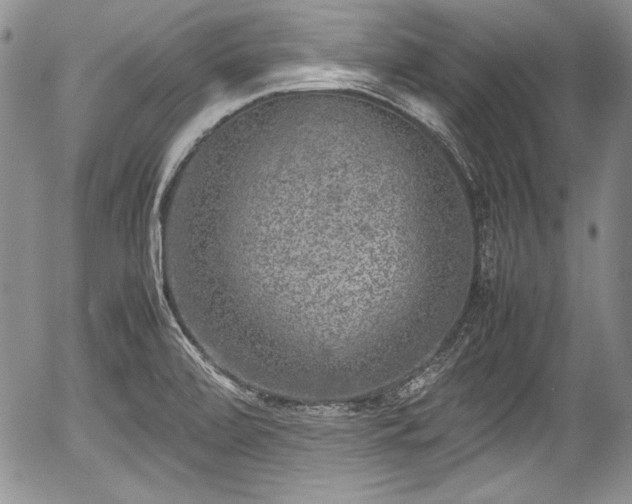 X0000054371472200508011207