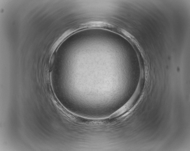 X0000054371473200508011207