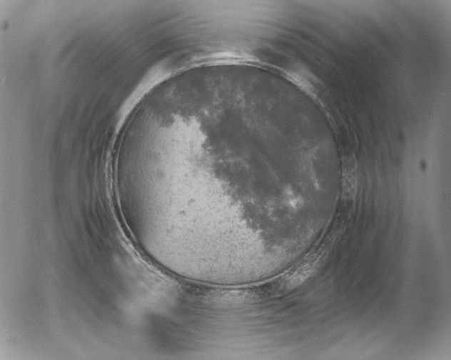 X0000054371474200508011207