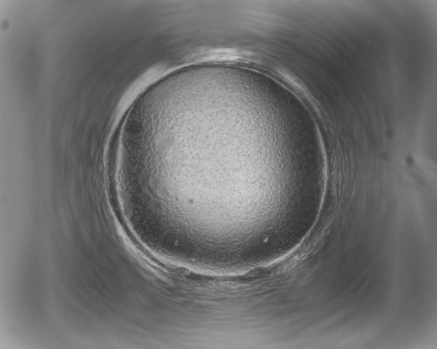 X0000054371475200508011207