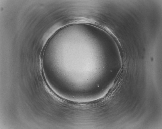 X0000054371476200508011207