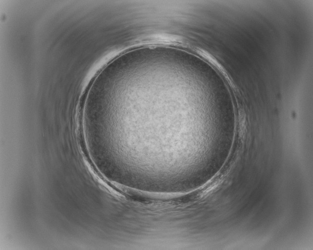 X0000054371477200508011207