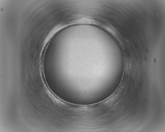 X0000054371478200508011207