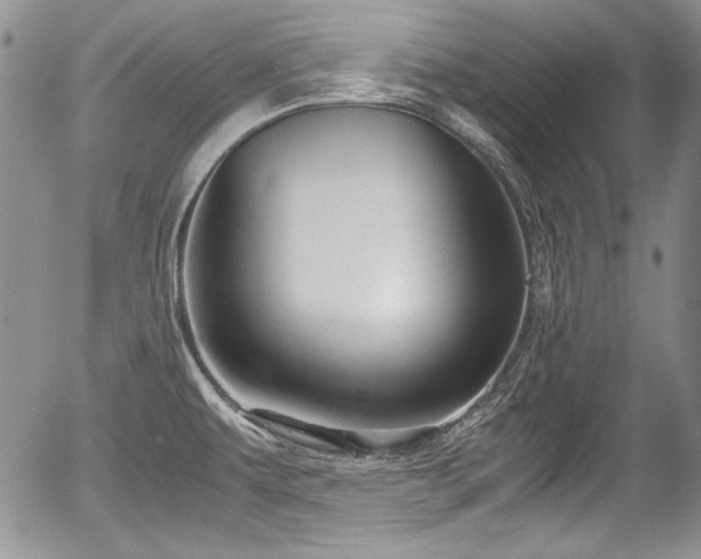 X0000054371479200508011207