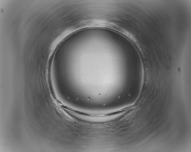 X0000054371480200508011207