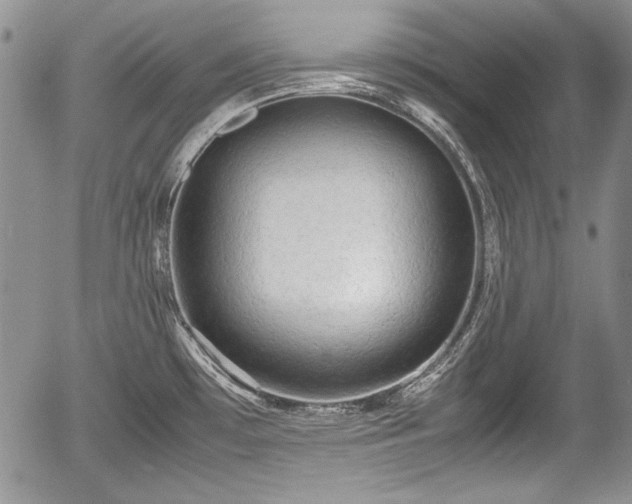 X0000054371481200508011207