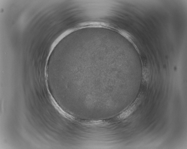 X0000054371482200508011207