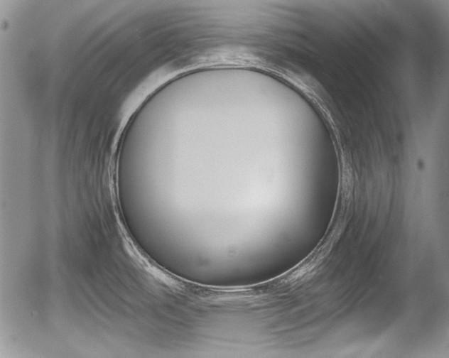 X0000054371486200508011207