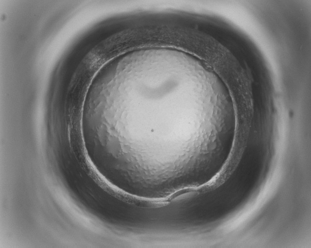 X0000054371487200508011207