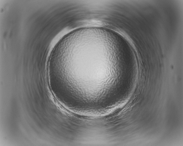 X0000054371488200508011207