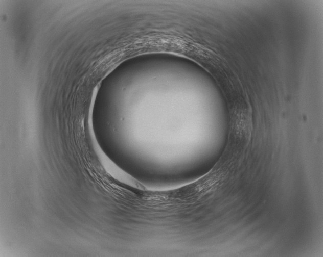 X0000054371489200508011206