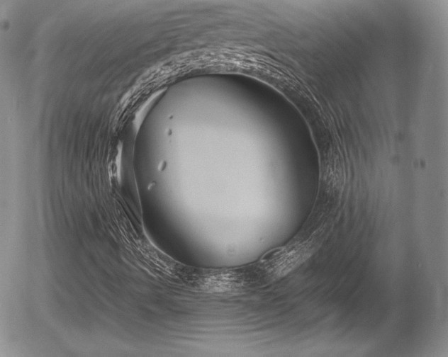 X0000054371490200508011206