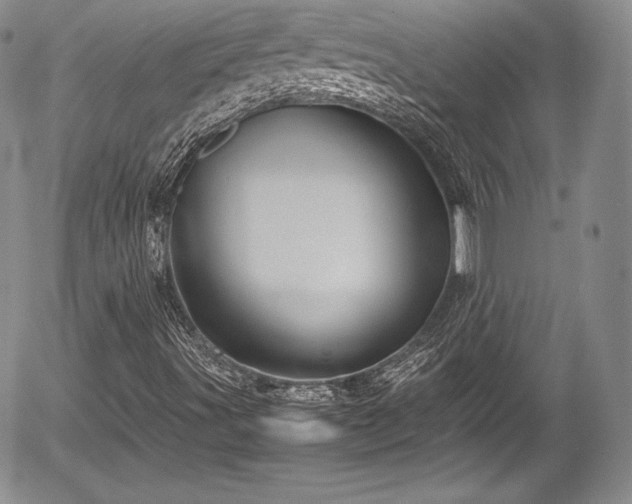 X0000054371491200508011206