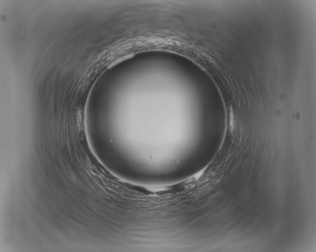 X0000054371492200508011206