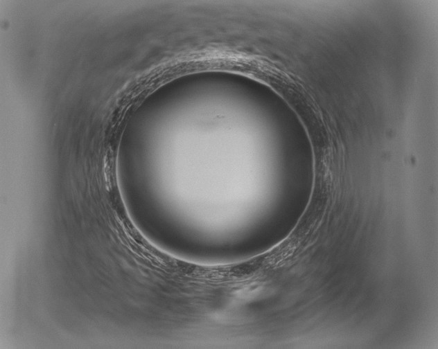 X0000054371493200508011206