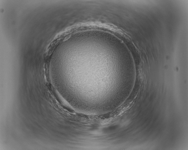 X0000054371494200508011206