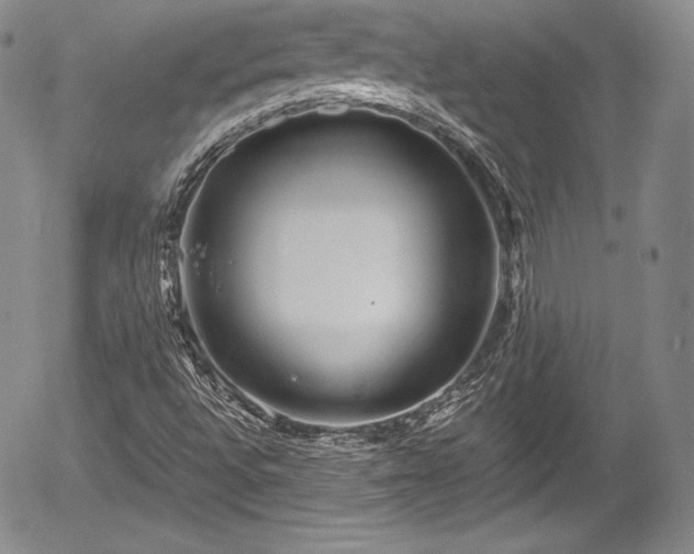 X0000054371496200508011206