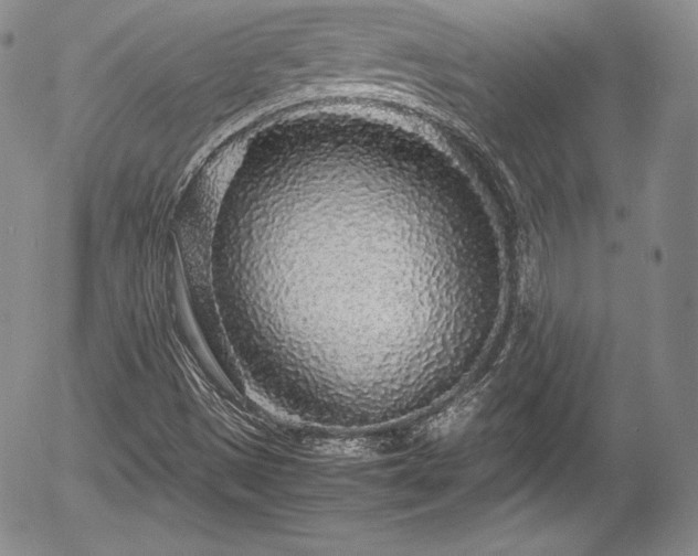 X0000054371497200508011206