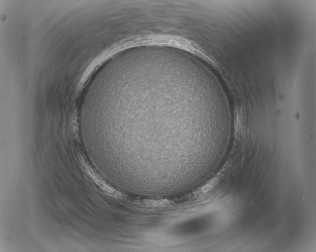 X0000054371498200508011206