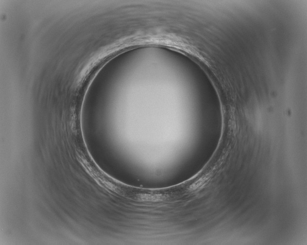 X0000054371499200508011206