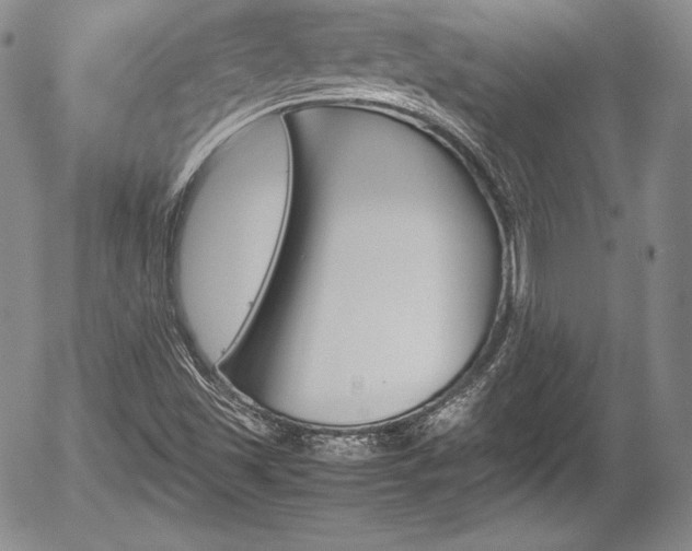 X0000054371501200508011207