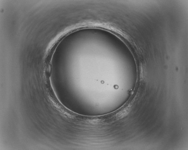 X0000054371502200508011207