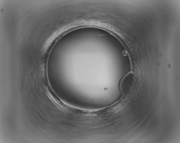 X0000054371503200508011207