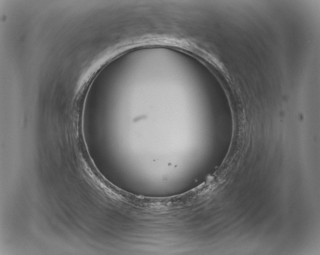 X0000054371504200508011207