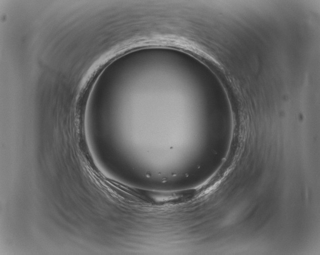 X0000054371506200508011207