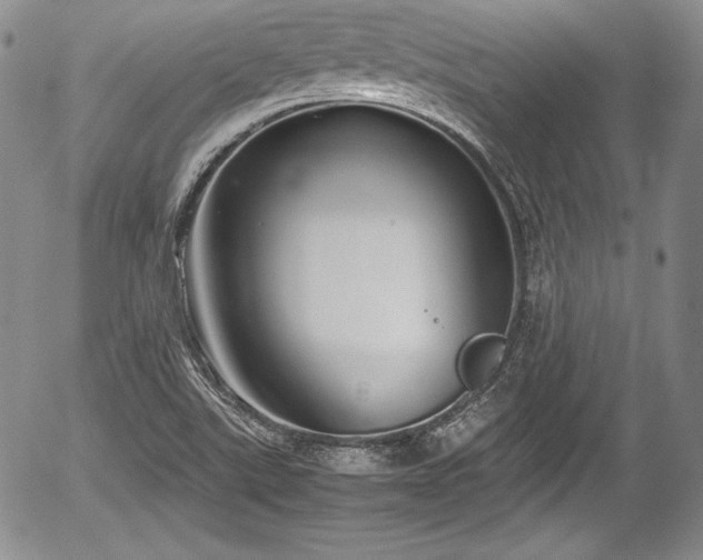 X0000054371507200508011207