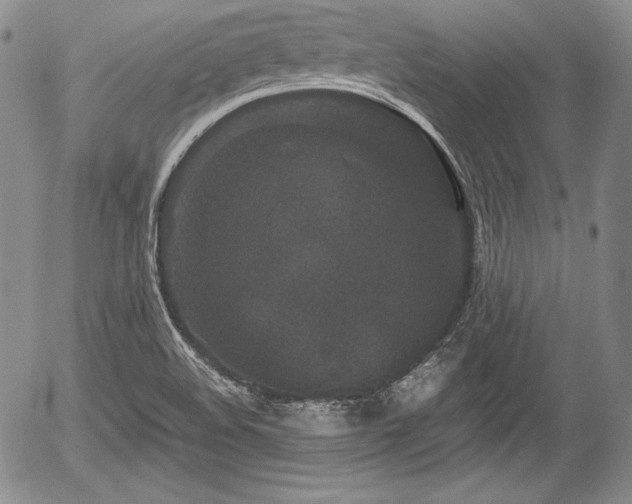 X0000054371508200508011207